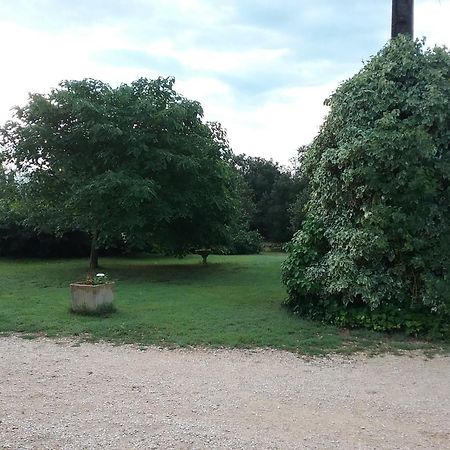 Le Mas Du Berger Saint-Quentin-la-Poterie Exterior foto